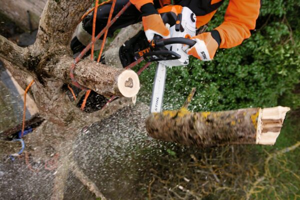 Elagage thermique STIHL MS 201 T-CM en guide de 35cm – Image 4